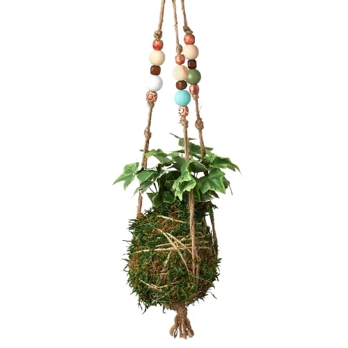 Bead Kokedama Moss Ball Hanging Plant - Image 7